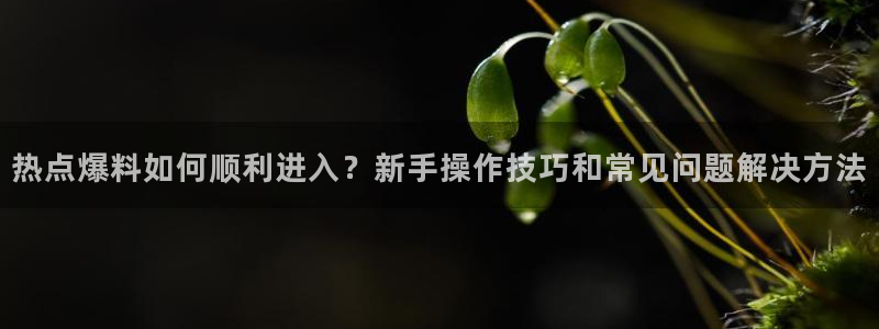 黑料网/：热点爆料如何顺利进入？新手操作