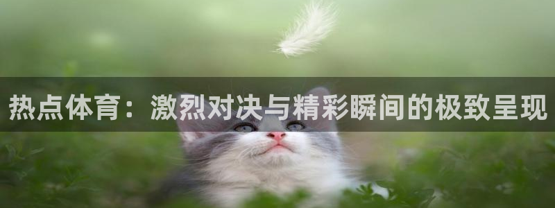 黑料破解版：热点体育：激烈对决与精彩瞬间