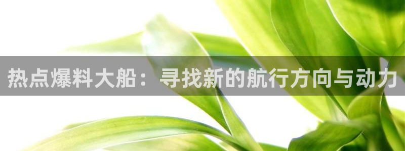 网红吃瓜黑料：热点爆料大船：寻找新的航行