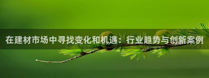 zztt黑料没了吗：在建材市场中寻找变化