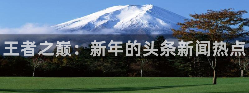 “166run黑料不打烊：王者之巅：新年的