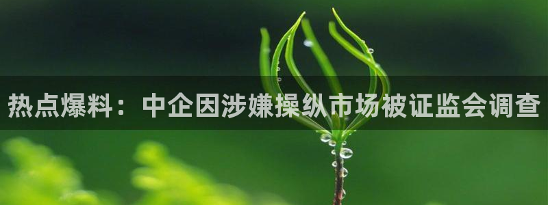 王晓晨黑料：热点爆料：中企因涉嫌操纵市场