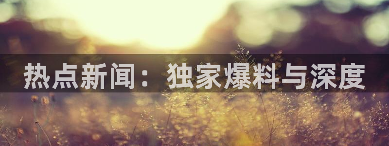 黑料多少钱一斤：热点新闻：独家爆料与深度